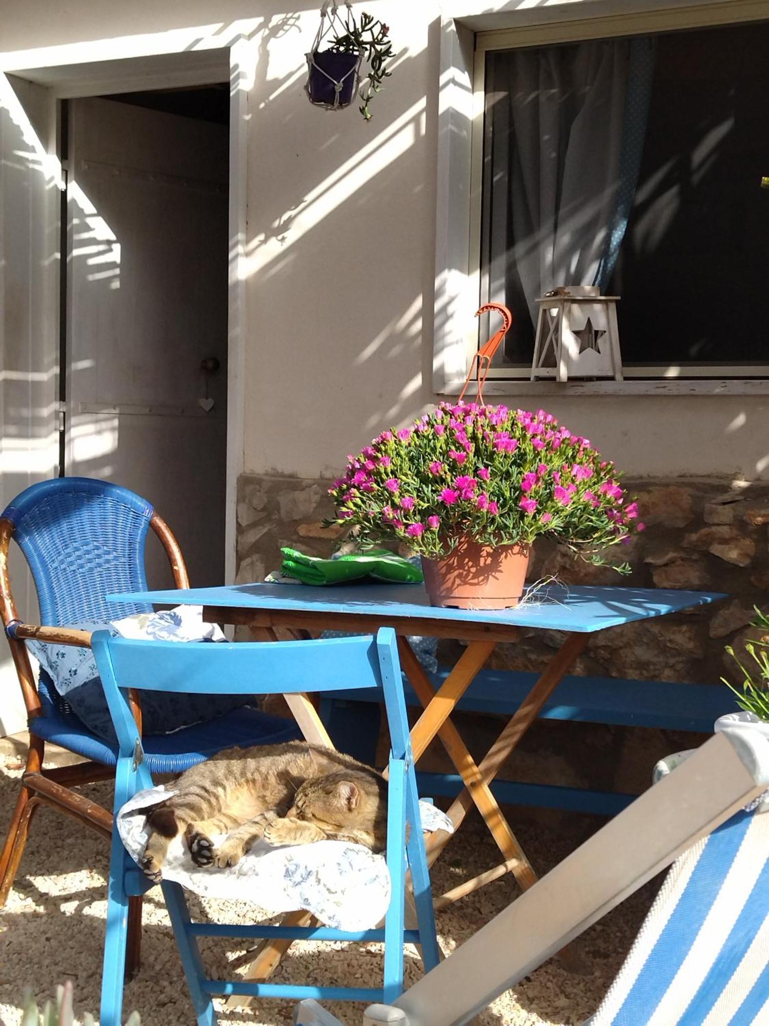 Cala Creta Apartment Lampedusa Room photo